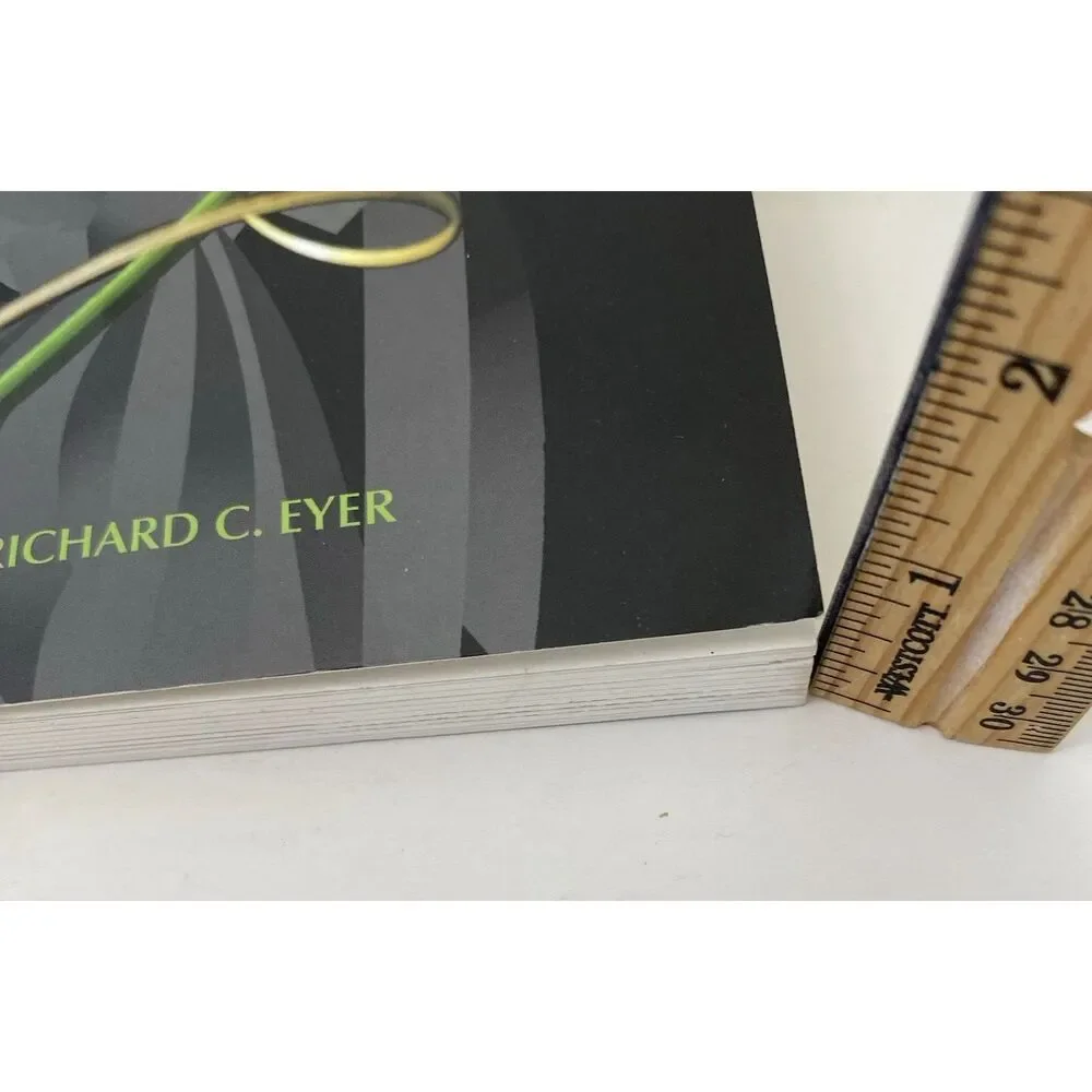 Marriage Is Like Dancing by Richard C. Eyer (2007, Trade Paperback)